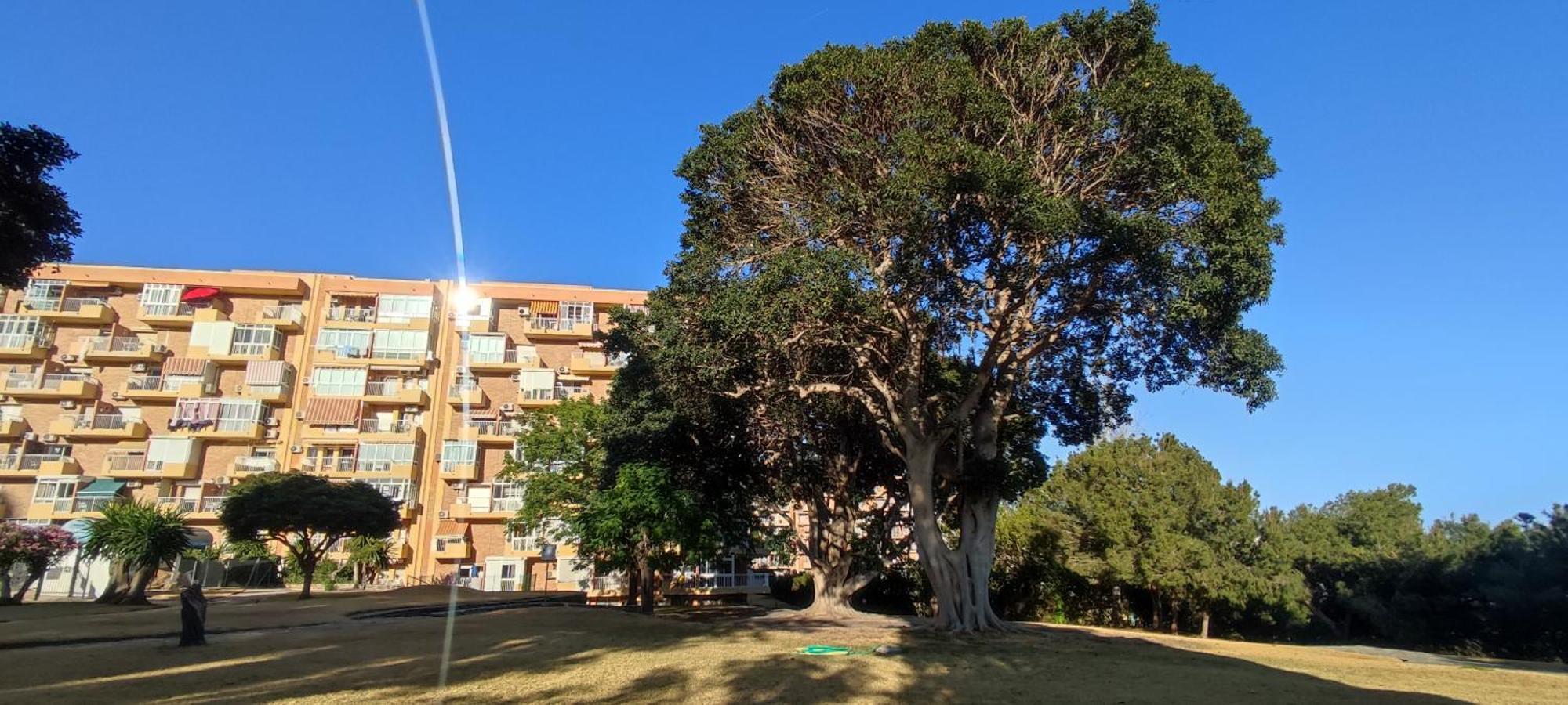 Apartamento Aguila, Arroyo De La Miel, เบนัลมาเดนา ภายนอก รูปภาพ